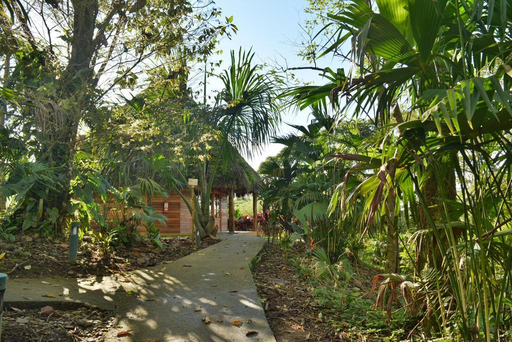 Huasquila Amazon Lodge Cotundo Kültér fotó