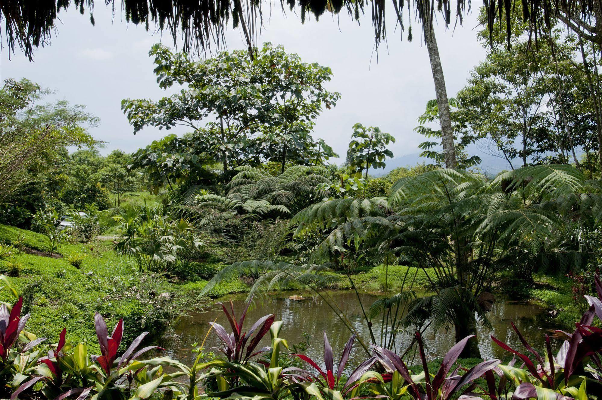 Huasquila Amazon Lodge Cotundo Kültér fotó