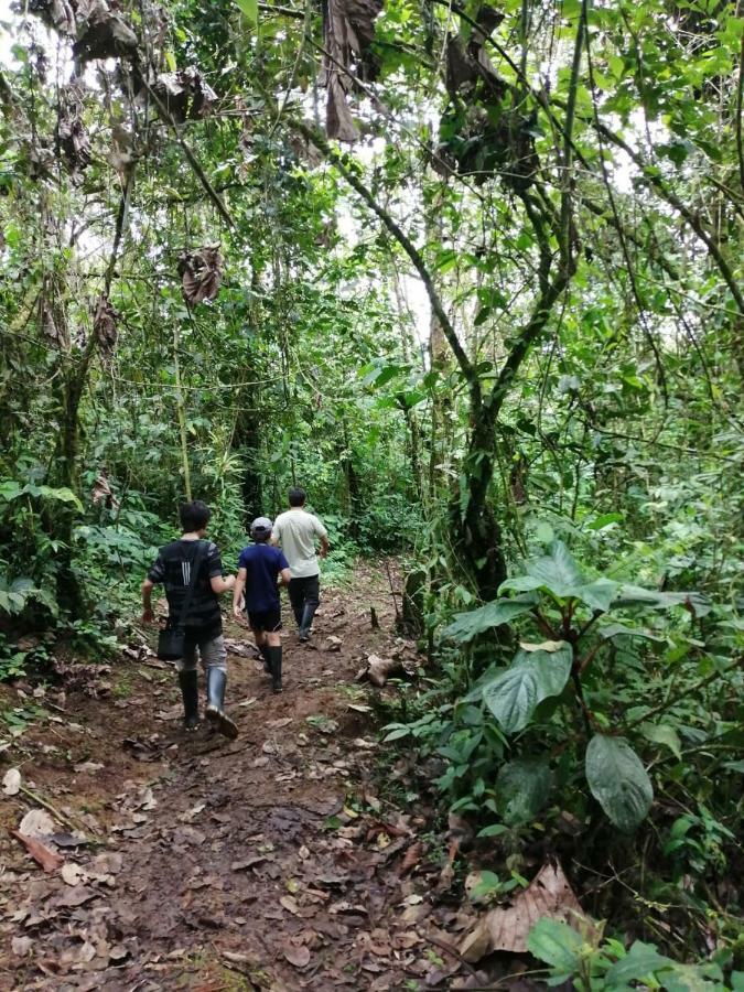 Huasquila Amazon Lodge Cotundo Kültér fotó